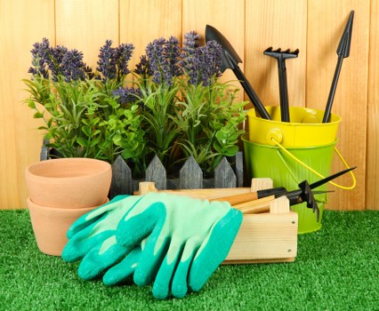 Gardener performing routine maintenance in a city courtyard