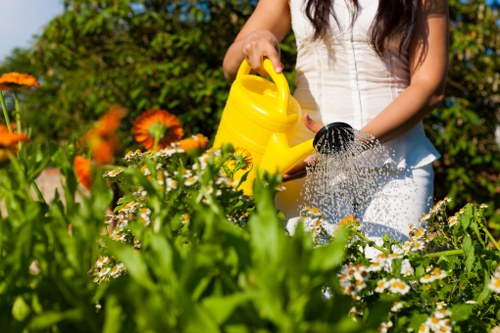 Professional gardener working on a Mayfair garden